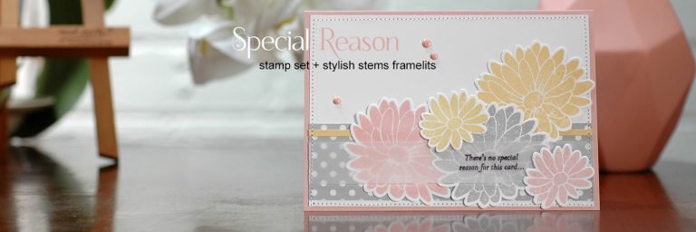 GDP070 Special Reason