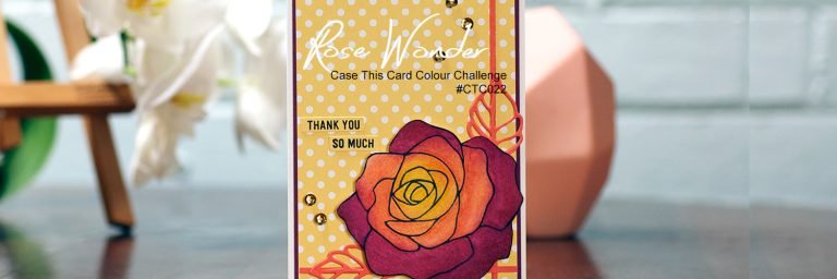 CTC022 Colour Challenge