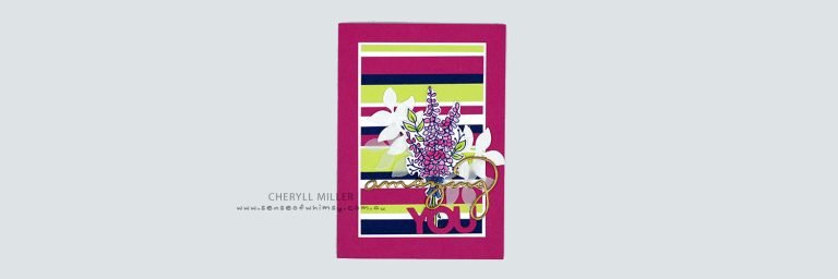 Kylie’s International Blog Highlight – February