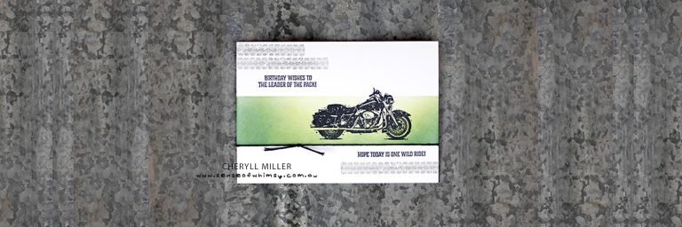 One Wild Ride Header