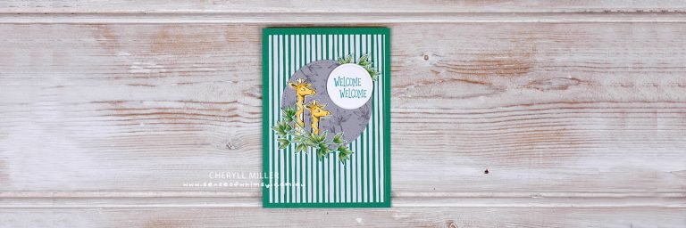 Animal Outing for Go For Greece