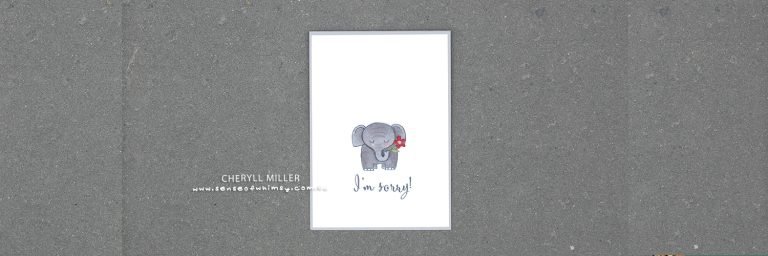 Kylie’s International Blog Highlight – Sorry