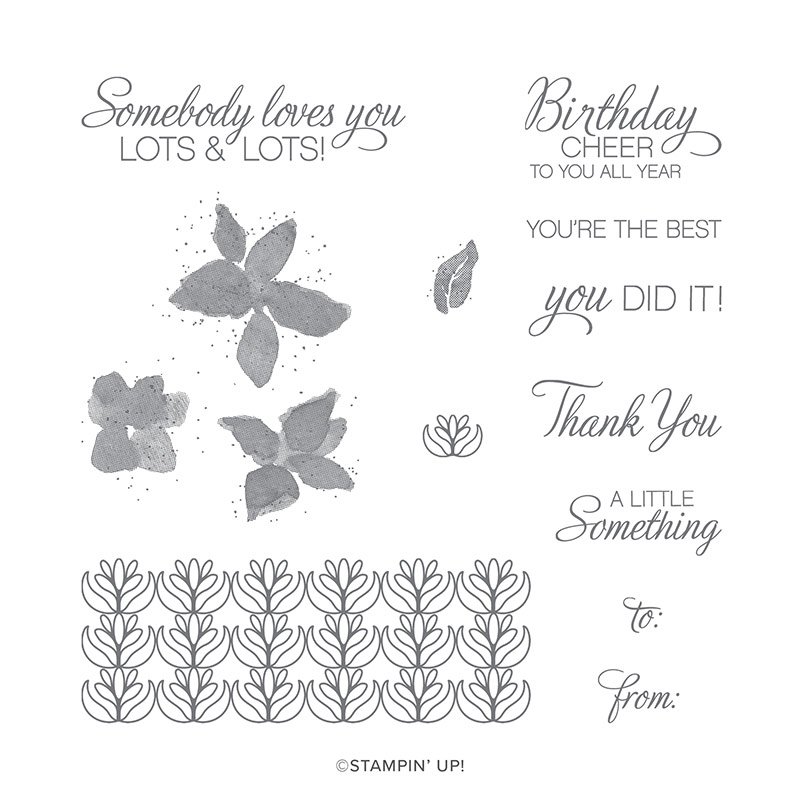 Parcels and Petals Stamp Set