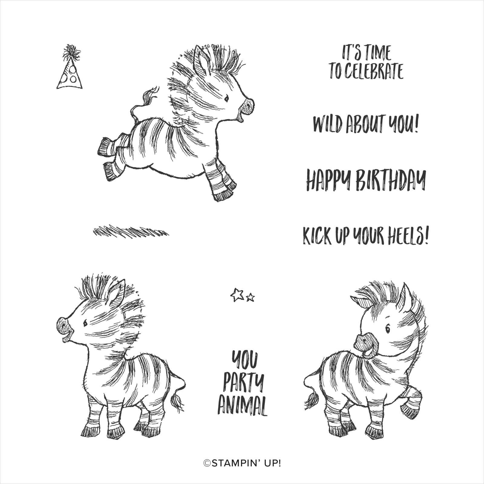 Zany Zebras