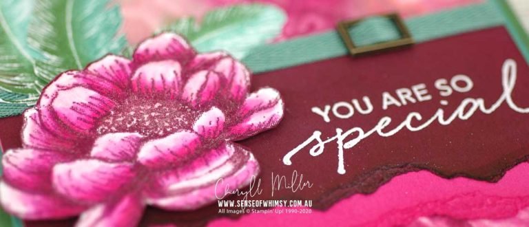 Parisian Flourishes Header