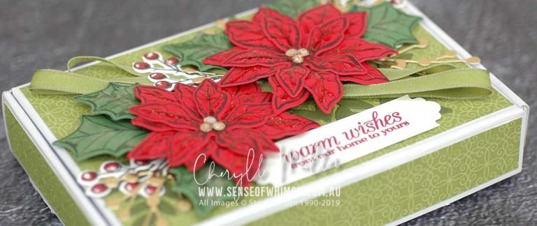 Poinsettia Petals Header