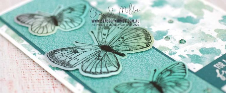 Butterfly Brilliance Header