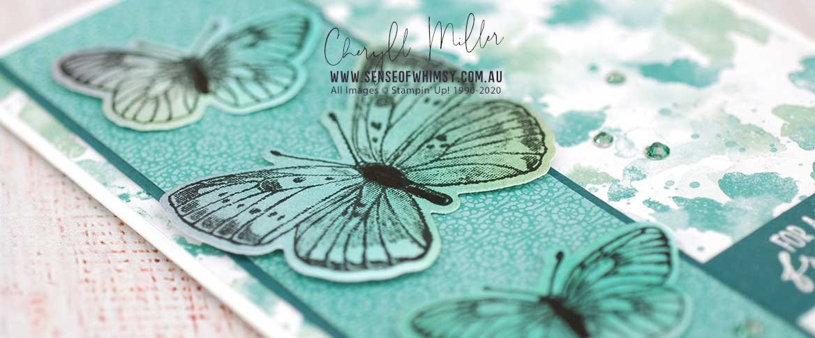 Butterfly Brilliance Header