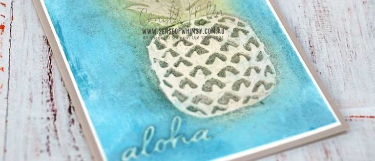 In The Tropics for CI93