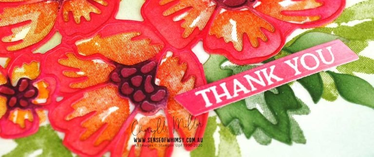 Changing Seasons Around the World on Wednesday