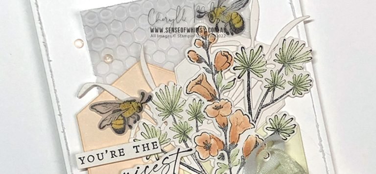 It’s a Wonderful Day in the Neighbourhood Around the World on Wednesday