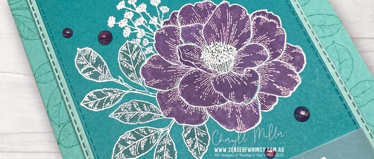 Cottage Rose – Colour Challenge Around the World on Wednesday