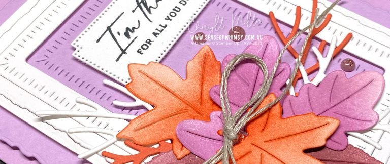 Stamping Sunday August – You’ve Been Framed