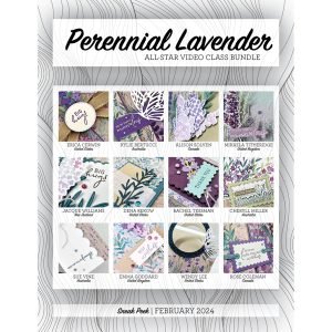 All Star Video Class Bundle February 2024