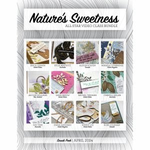 All Star Video Class Bundle April 2024