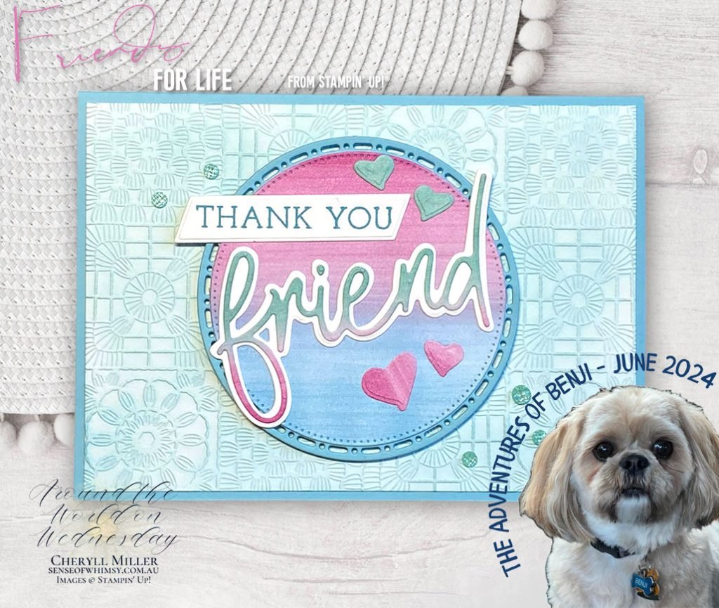 Adventures of Benji Friends for Life