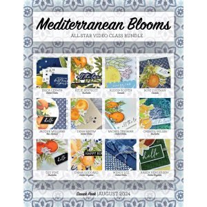 All Star Video Class Bundle August 2024