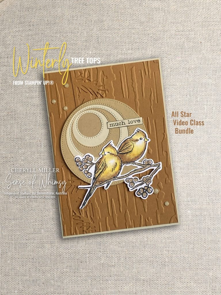 Nests of Winter Suite for All Star Video Class Bundle – November 2024