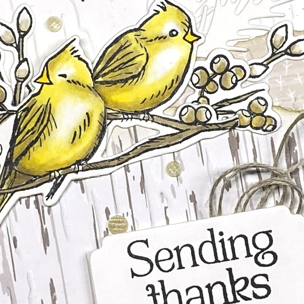 Nests of Winter Suite