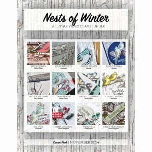 All Star Video Class Bundle November 2024