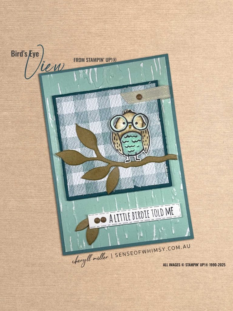 Birds Eye View – the cutest bird ever!