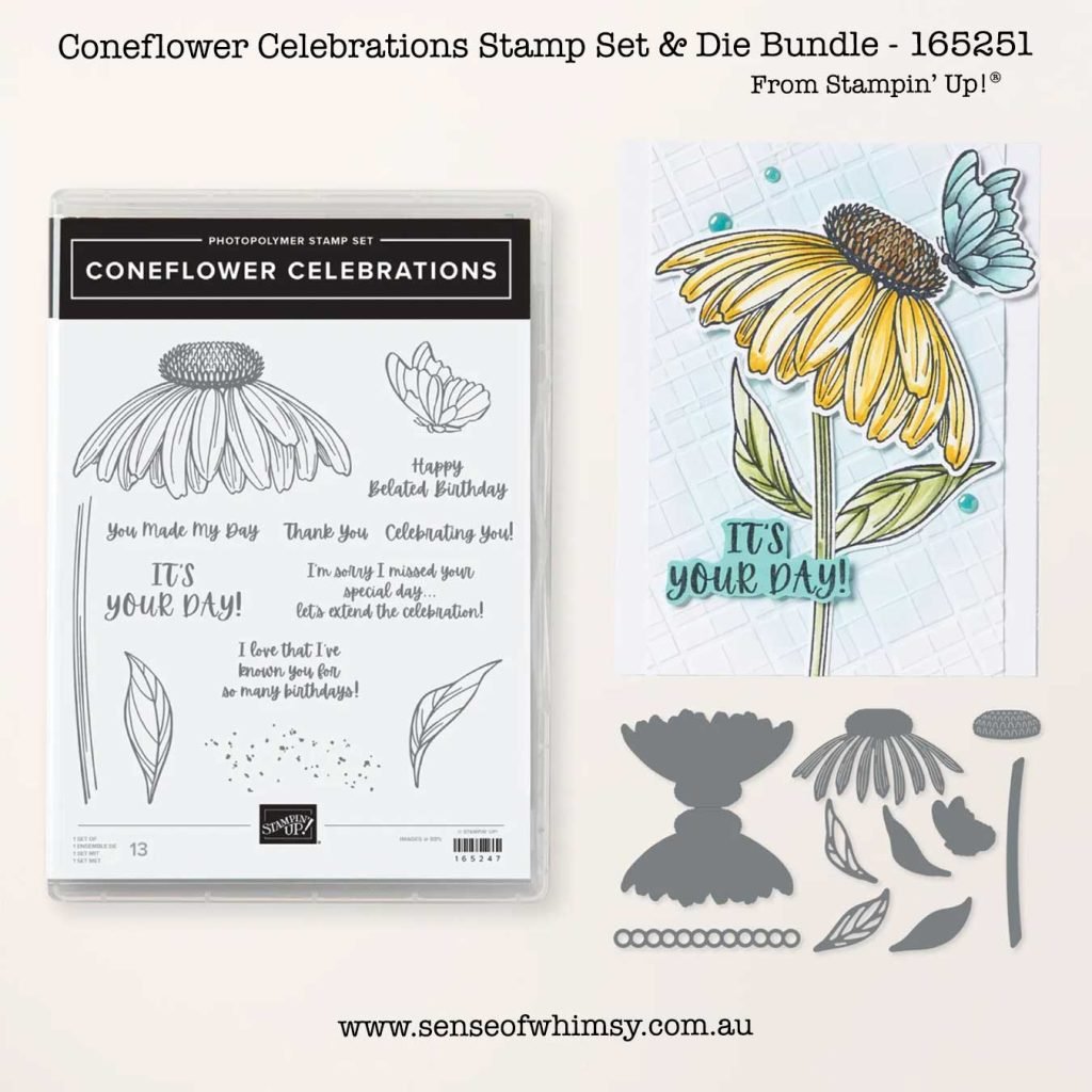 Coneflower Celebrations