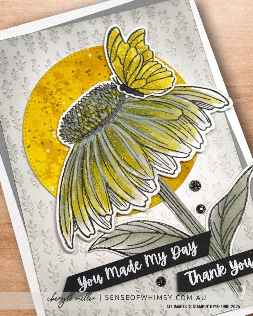 Coneflower Celebration