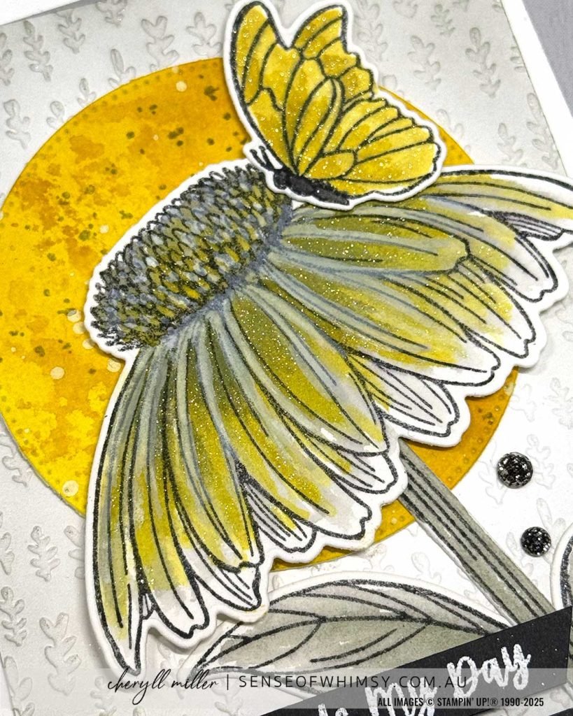 Coneflower Celebration