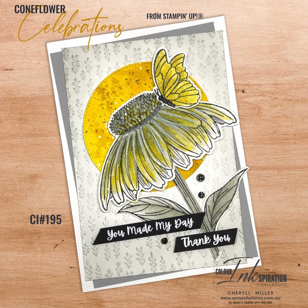 Coneflower Celebration
