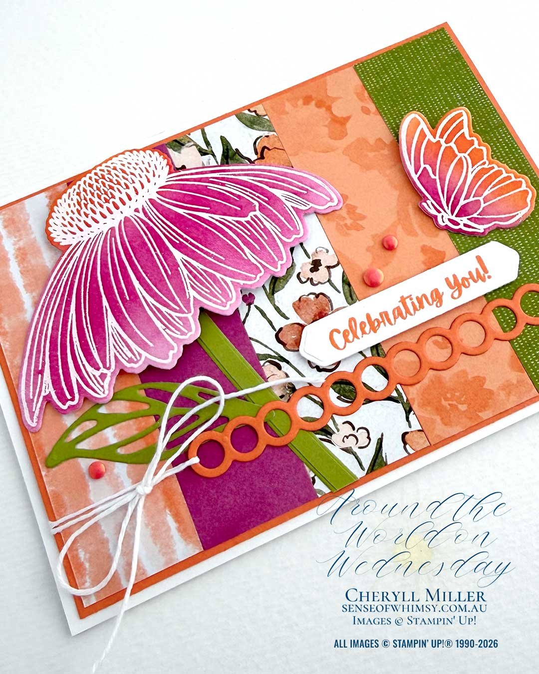 Coneflower Celebrations