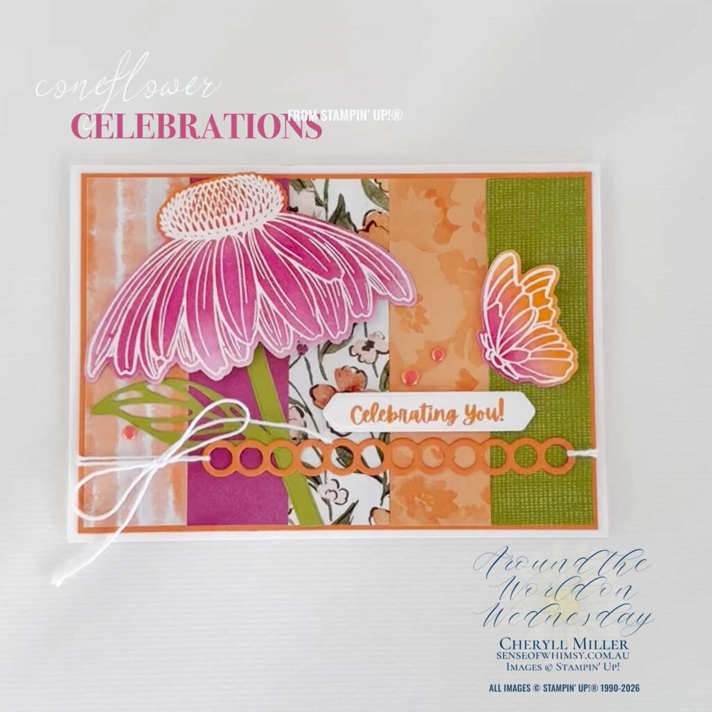 Coneflower Celebrations