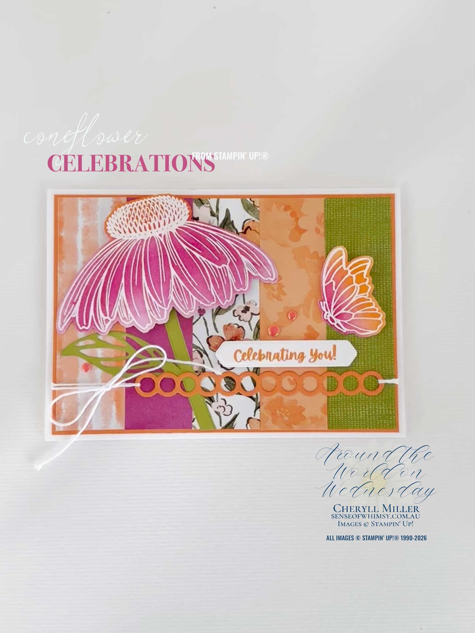 Coneflower Celebrations – Celebrating Around the World on Wednesday